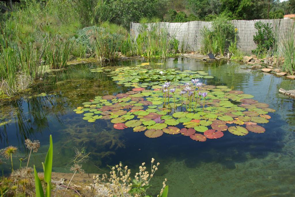 Quinta Do Arade - Casa 4 Petalas Villa Barranco do Resgalho Dış mekan fotoğraf