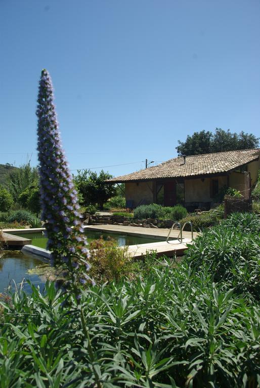 Quinta Do Arade - Casa 4 Petalas Villa Barranco do Resgalho Dış mekan fotoğraf